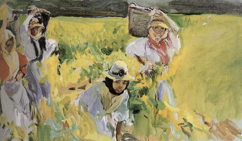 Joaquin Sorolla Sherry grape mining oil painting image